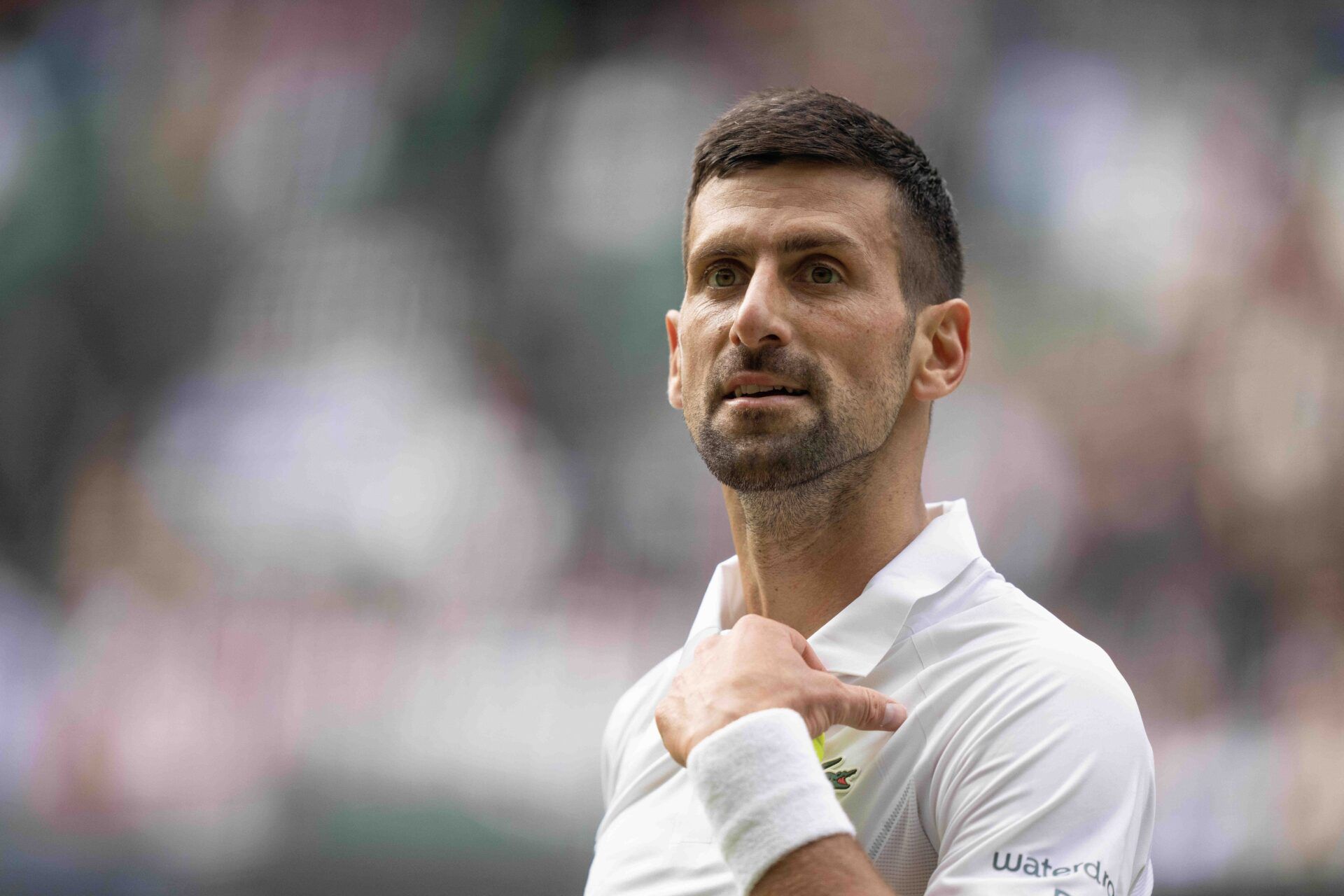 Novak Djokovic of Serbia during his match against Lorenzo Musetti of Italy on day 12 at All England Lawn Tennis and Croquet Club.