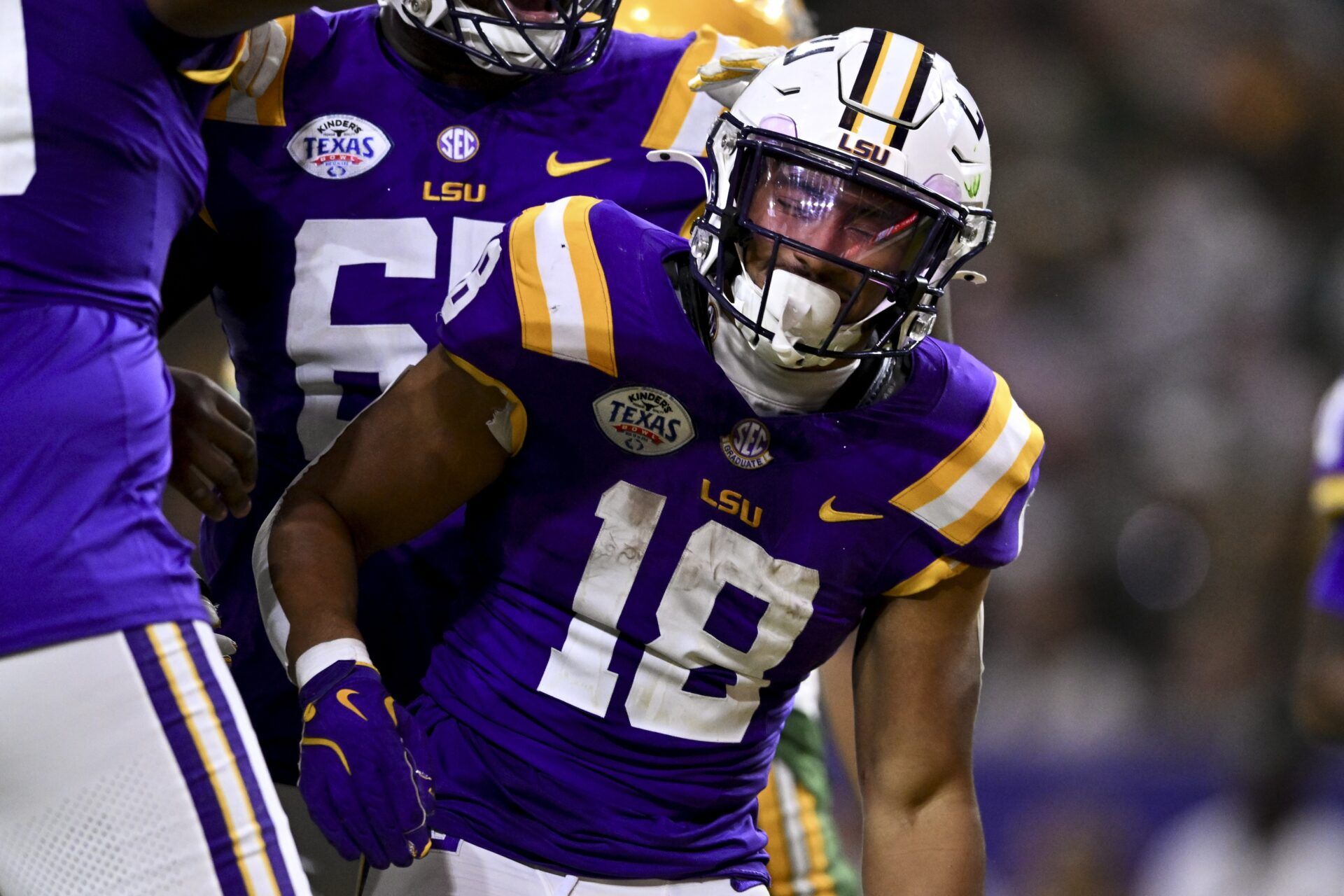 LSU Tigers running back Josh Williams (18) celebrates after scoring a touchdown during the second half against the Baylor Bears at NRG Stadium. The Tigers defeat the Bears 44-31.