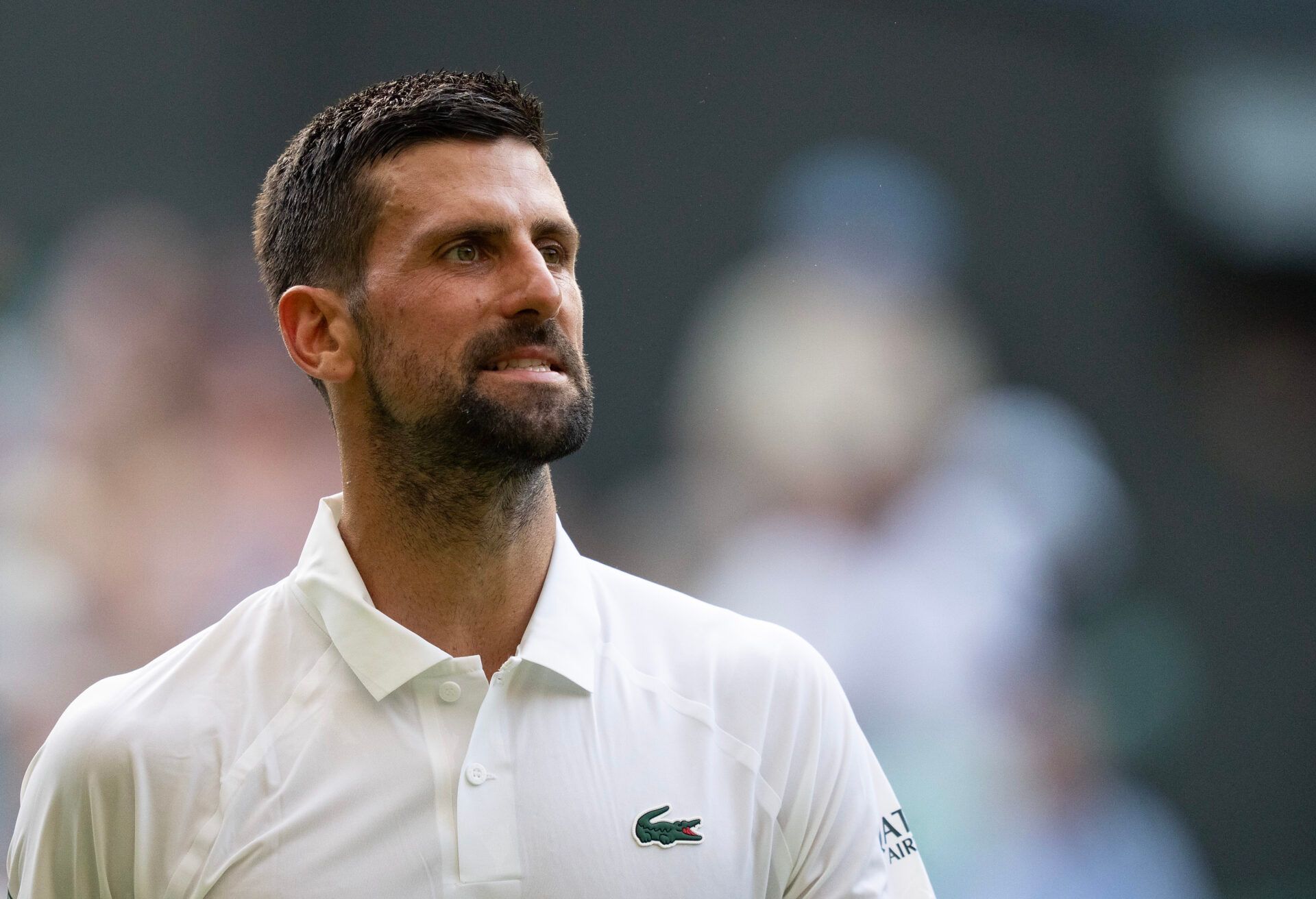 Novaj Djokovic has added some new members to his coaching staff.