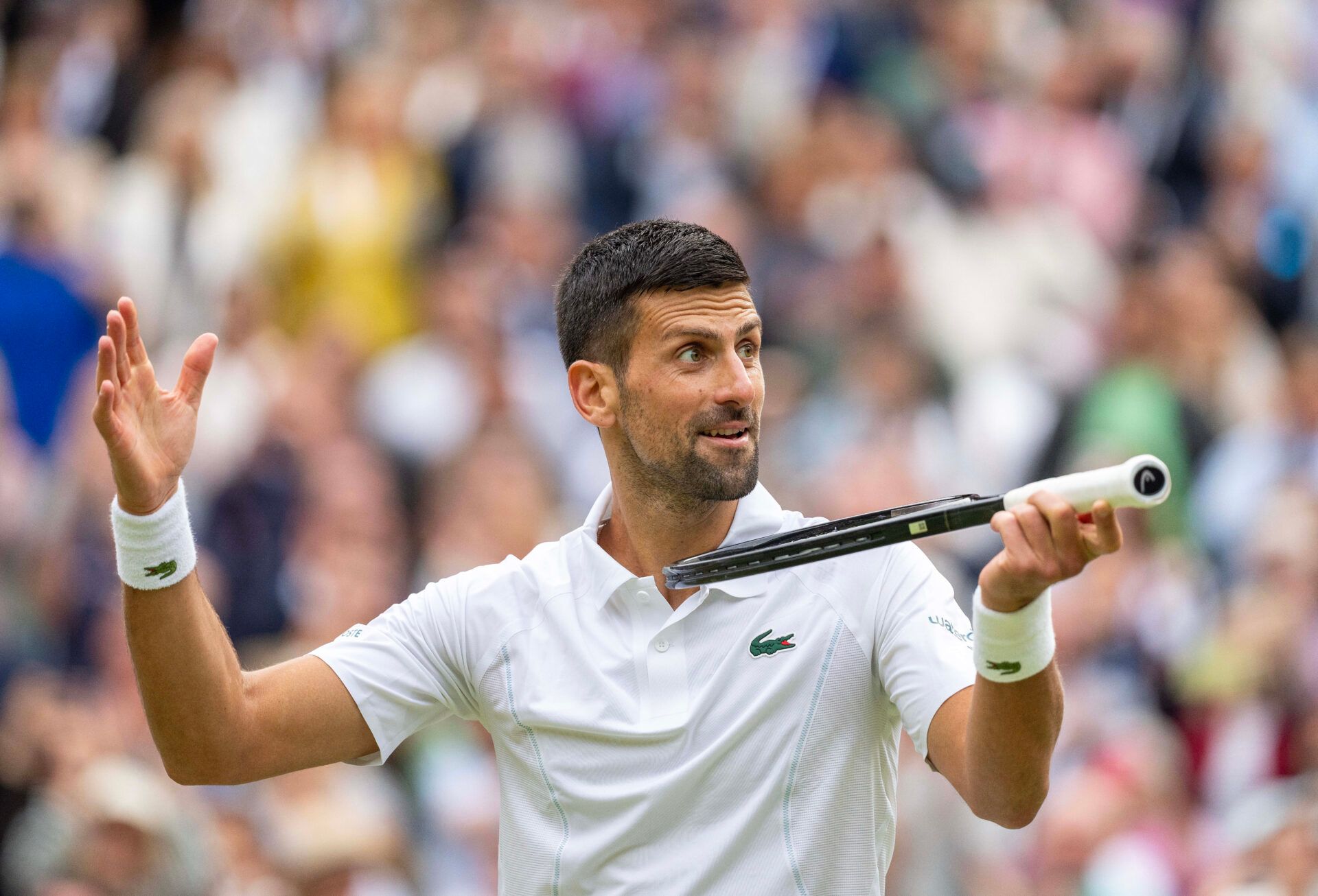 Novak Djokovic of Serbia celebrates winning his match against Lorenzo Musetti of Italy on day 12 at All England Lawn Tennis and Croquet Club.