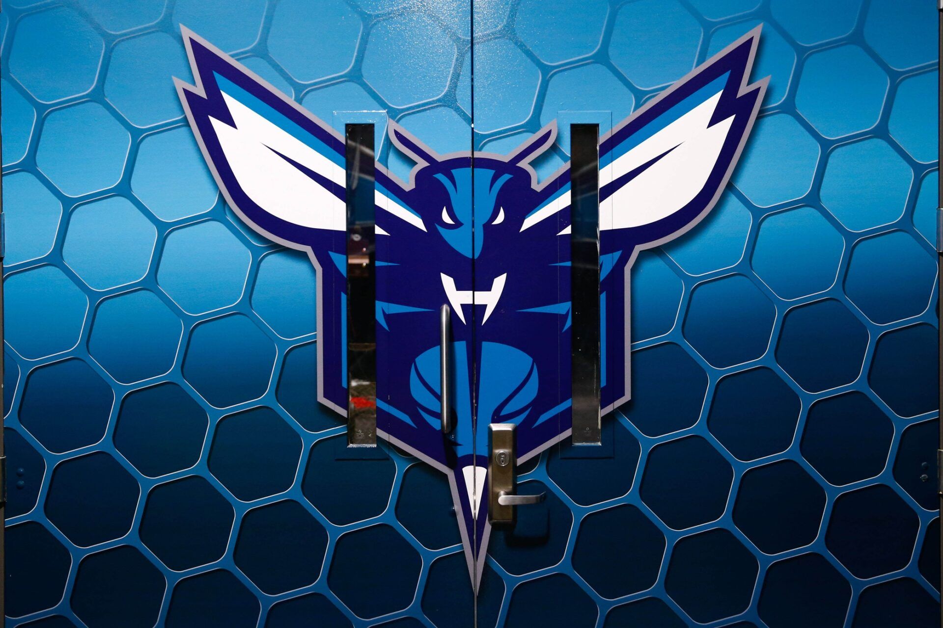 Charlotte Hornets' logo
