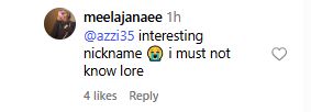 Fan replied to Azii Fudd (credits: @morgancheli? Instagram)