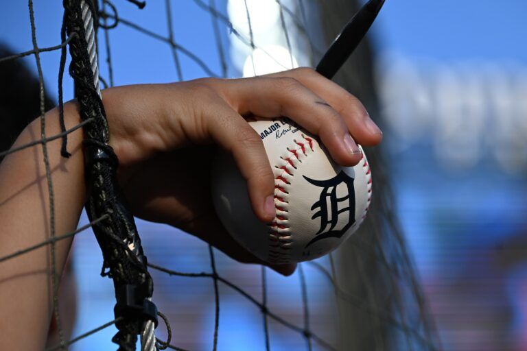 A young  Detroit Tigers fan tries to get his baseball autographed before their game against the Minnesota Twins at Comerica Park.