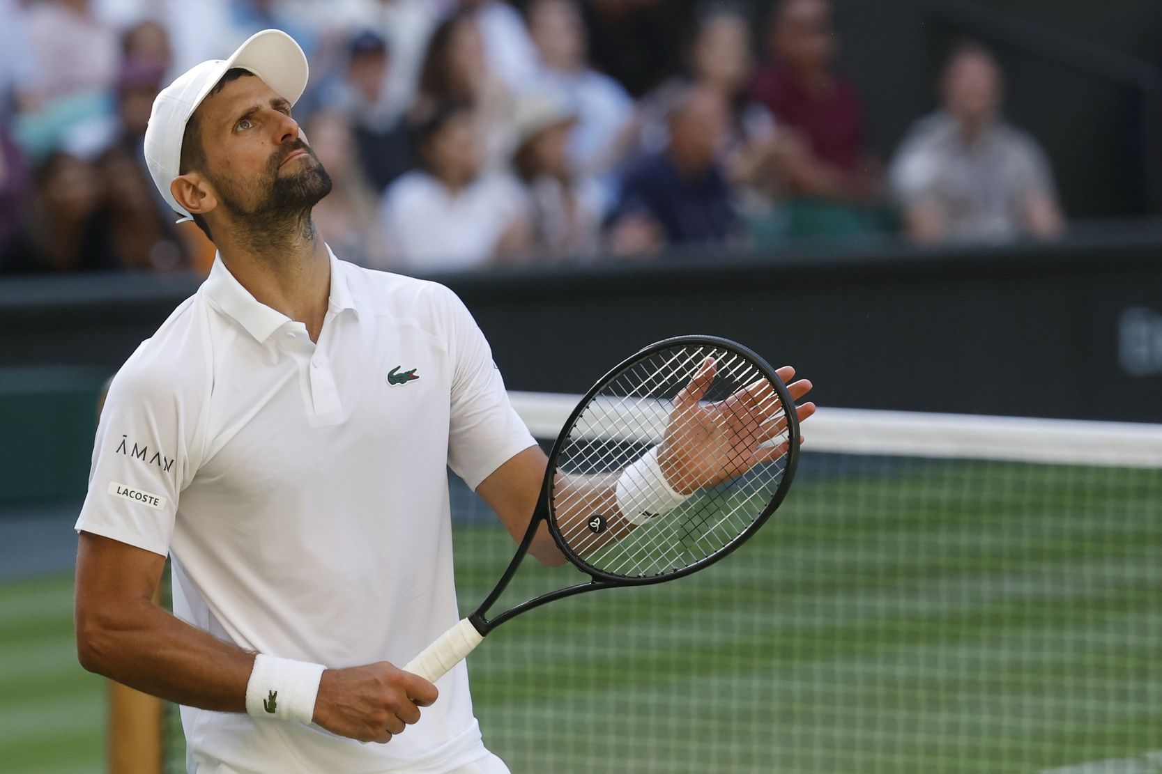 Novak Djokovic (SRB) reacts after losing a point against Flavio Cobolli (ITA)(not pictured) in a gentlemen's singles quarter-final on day ten of these Championships Wimbledon 2025 at All England Lawn Tennis and Croquet Club.
