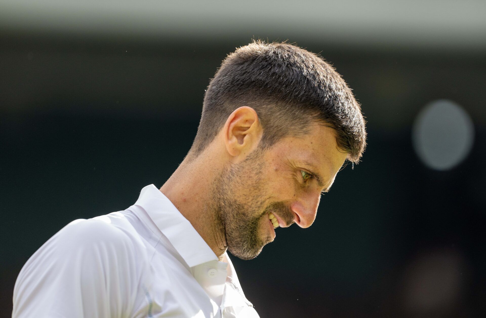 Novak Djokovic of Serbia during the menÕs singles match against Carlos Alcaraz of Spain on day 14 at All England Lawn Tennis and Croquet Club.