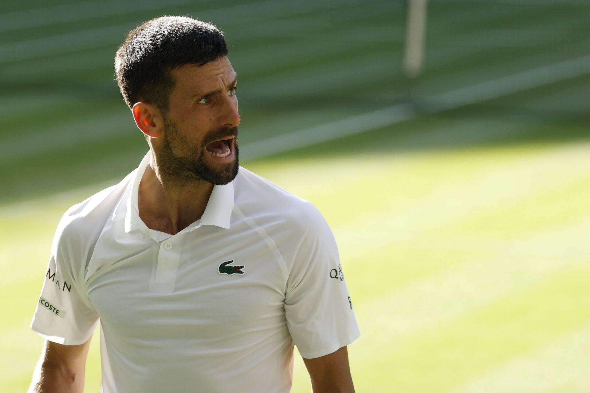 Novak Djokovic (SRB) reacts towards his player's box after losing a point against Flavio Cobolli (ITA)(not pictured) in a gentlemen's singles quarter-final on day ten of these Championships Wimbledon 2025 at All England Lawn Tennis and Croquet Club.