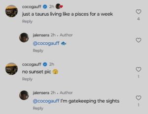 Screengrab of Coco Gauff and boyfriend Jalen Sera's comment on Instagram/@jalensera