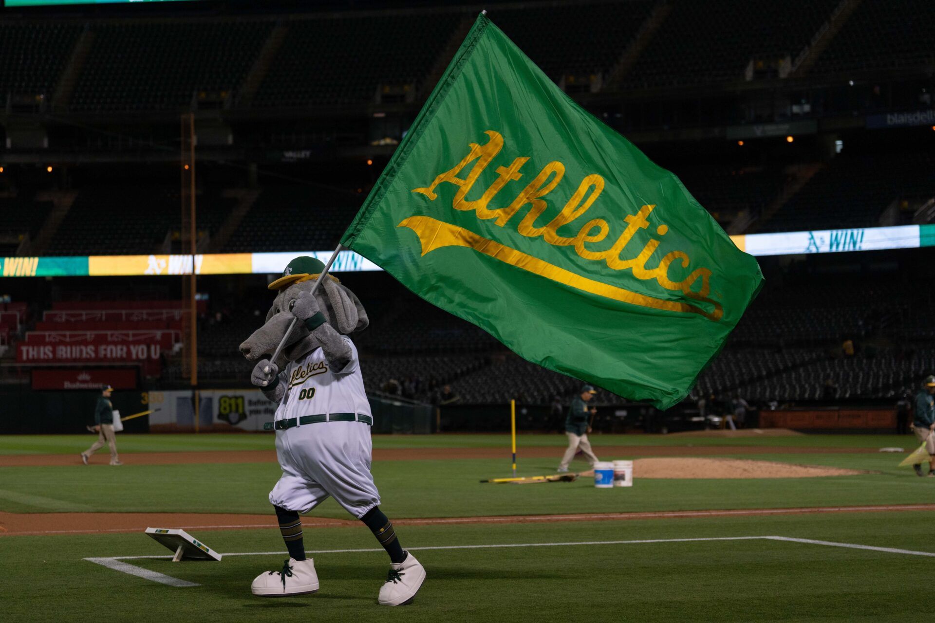 Oakland Athletics mascot Stomper celebrates with the flag after defeating the Pittsburgh Pirates at Oakland-Alameda County Coliseum.