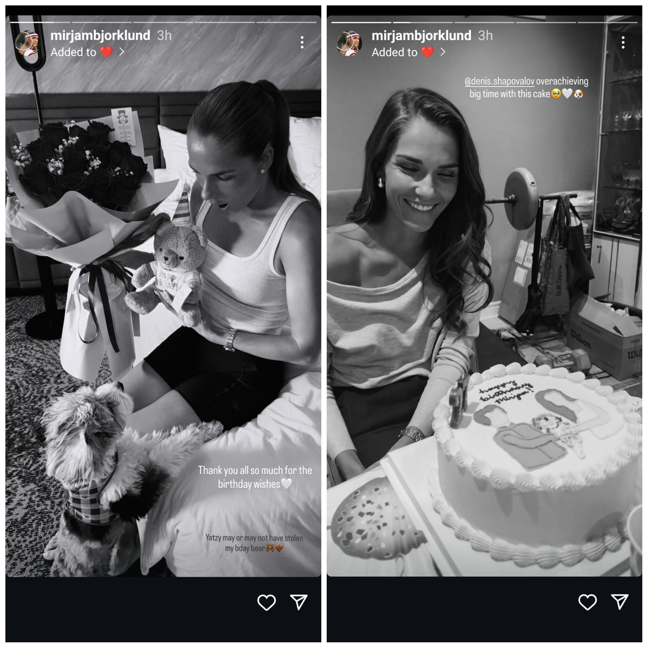 Screen grab of Denis Shapovalov's fiancée Mirjam Bjorklund's Instagram stories
