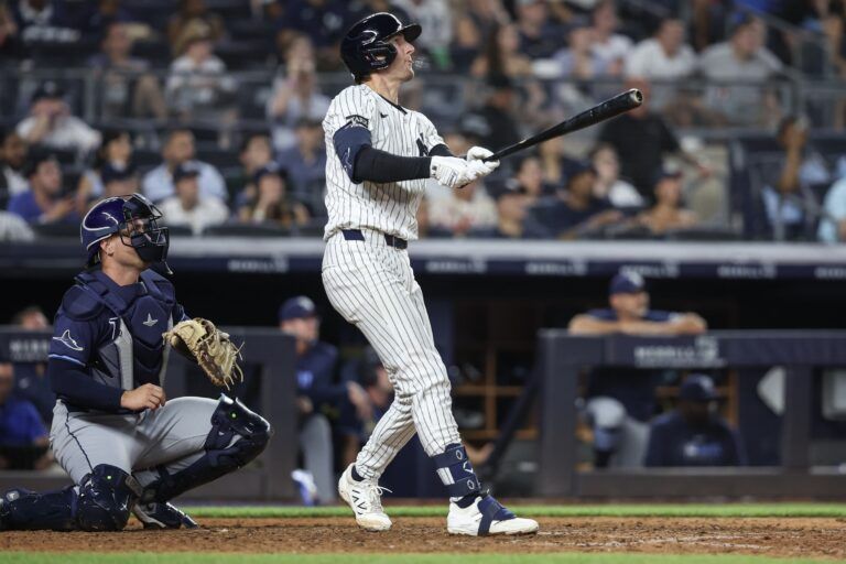New York Yankees third baseman Ryan McMahon (19) hits a game winning RBI single in the eleventh inning to defeat the Tampa Bay Rays 5-4 at Yankee Stadium.