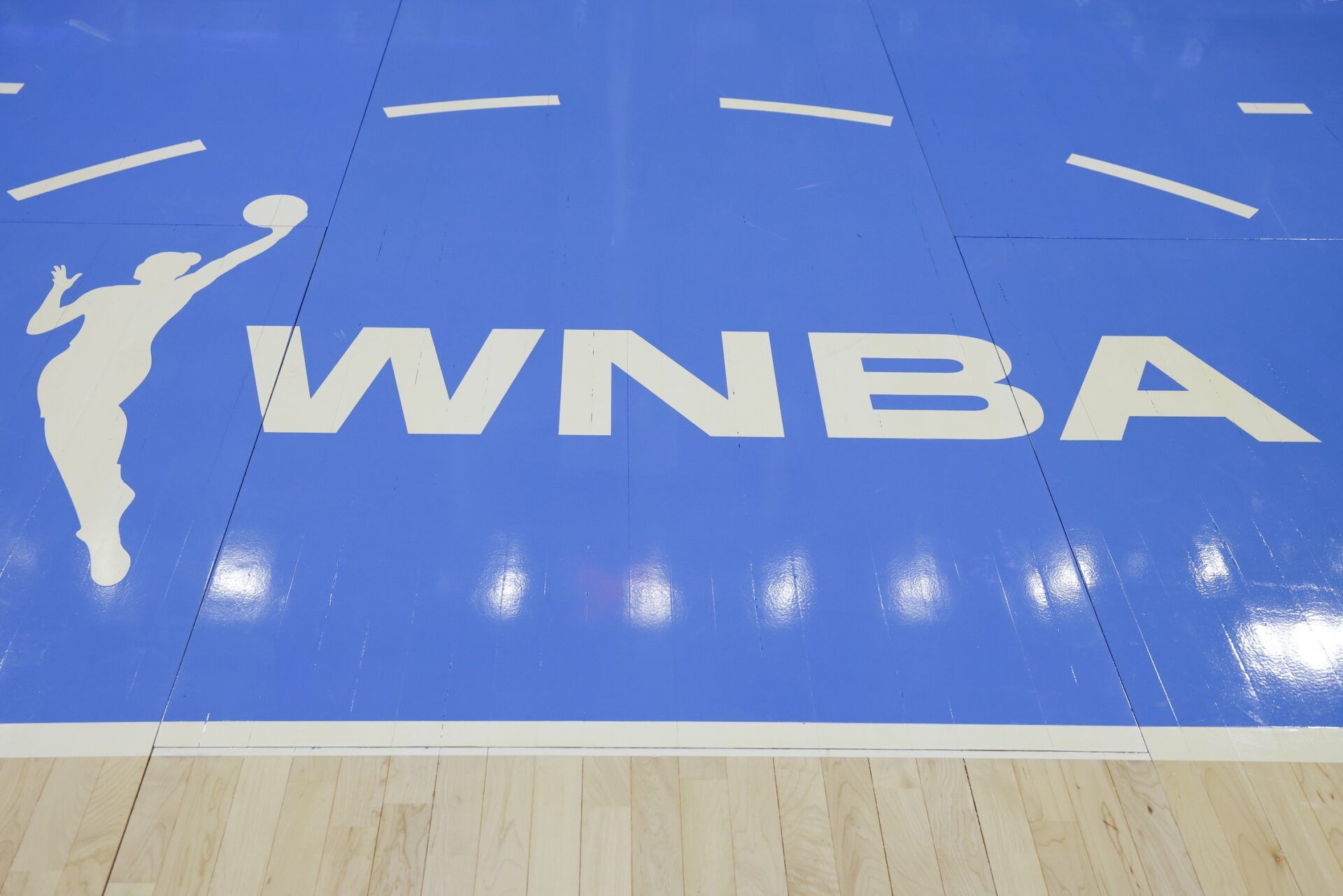 WNBA logo is seen on the court before a basketball game between the Chicago Sky and Minnesota Lynx at Wintrust Arena.