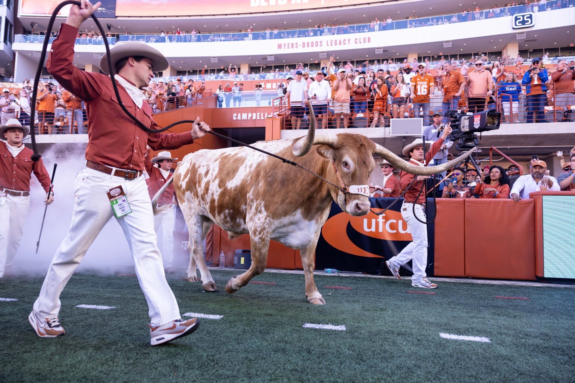 Bevo walks out of the tunnel pregame against the Kentucky Wildcats at Darrell K Royal-Texas Memorial Stadium.
