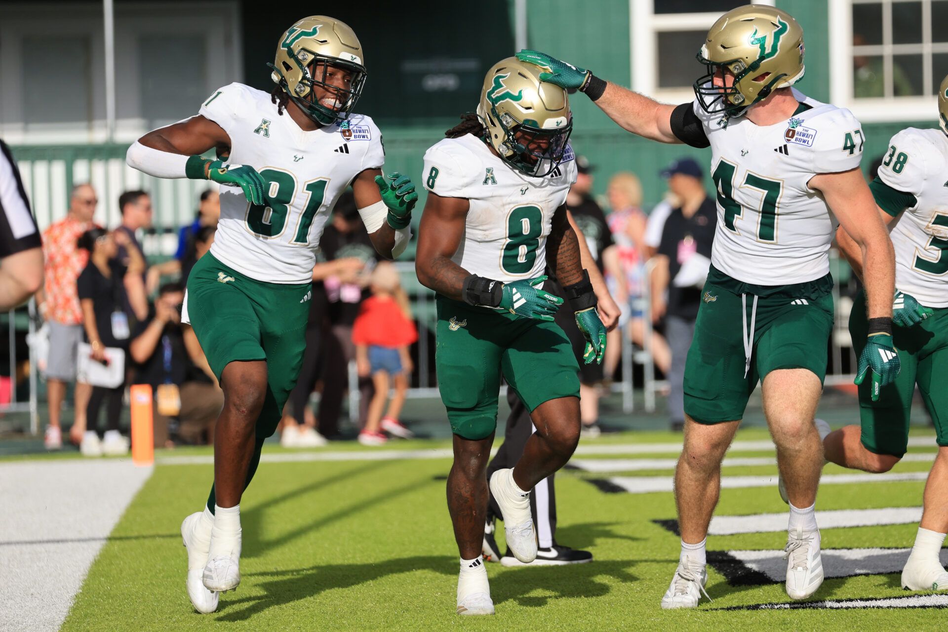 South Florida Bulls linebacker DJ Gordon IV (8) reacts with teammates wide receiver Keshaun Singleton (81) and tight end Evan Dangler after Gordon IV made a touchdown against San Jose State Spartans during the second quarter at Clarence T.C. Ching Athletics Complex.