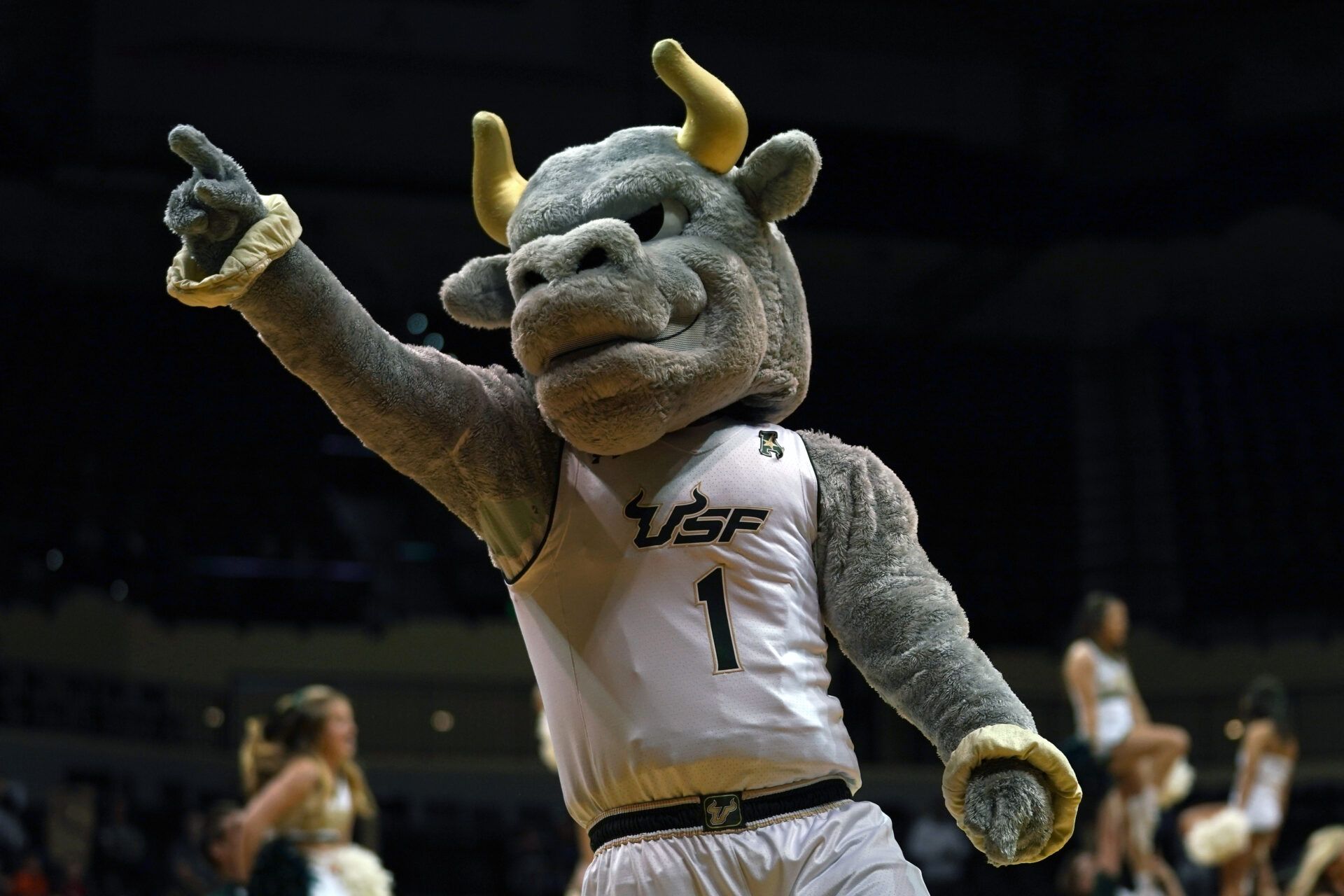 South Florida Bulls mascot Rockey performs prior to the game between the South Florida Bulls and the Southern Methodist Mustangs at USF Sun Dome.