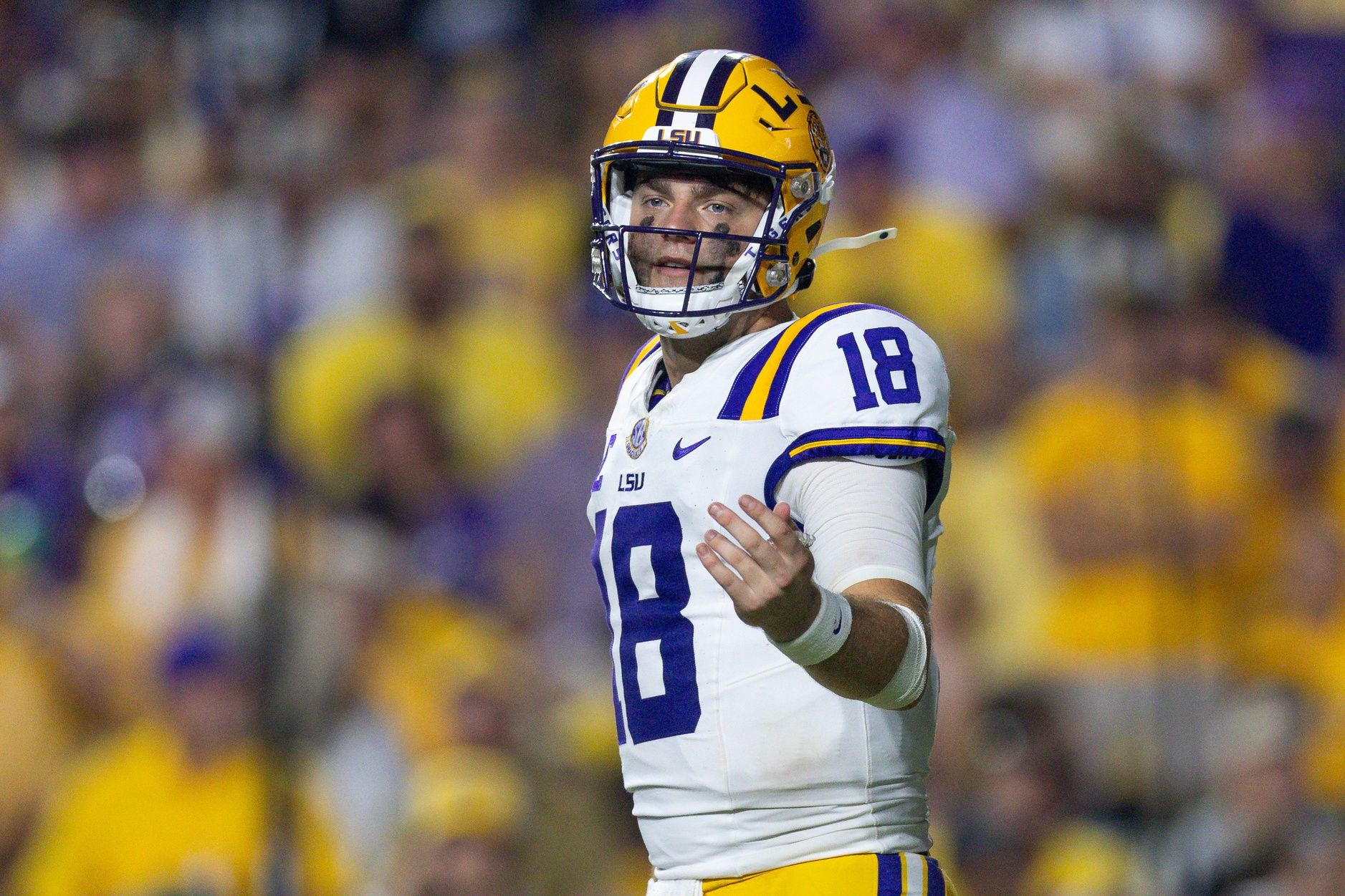 LSU Tigers quarterback Garrett Nussmeier (18) against the Florida Gators during the second half at Tiger Stadium.