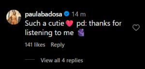 Paula Badosa's comment on Instagram