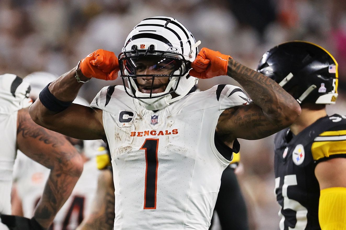 Cincinnati Bengals wide receiver Ja'Marr Chase (1) reacts after making a first down against the Pittsburgh Steelers during the third quarter at Paycor Stadium.