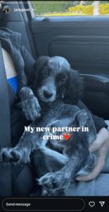 Steffi Graf and Andre Agassi's daughter Jaz on Instagram