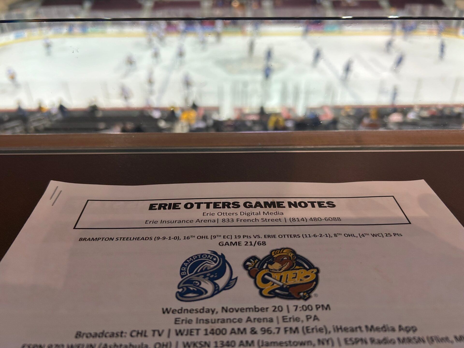 Pregame skate for Erie Otters and Brampton Steelheads at Erie Insurance Arena, Nov. 20, 2024.
