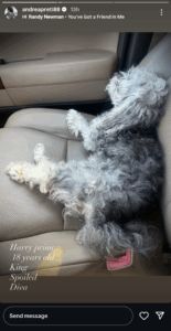 Andrea Preti on Instagram