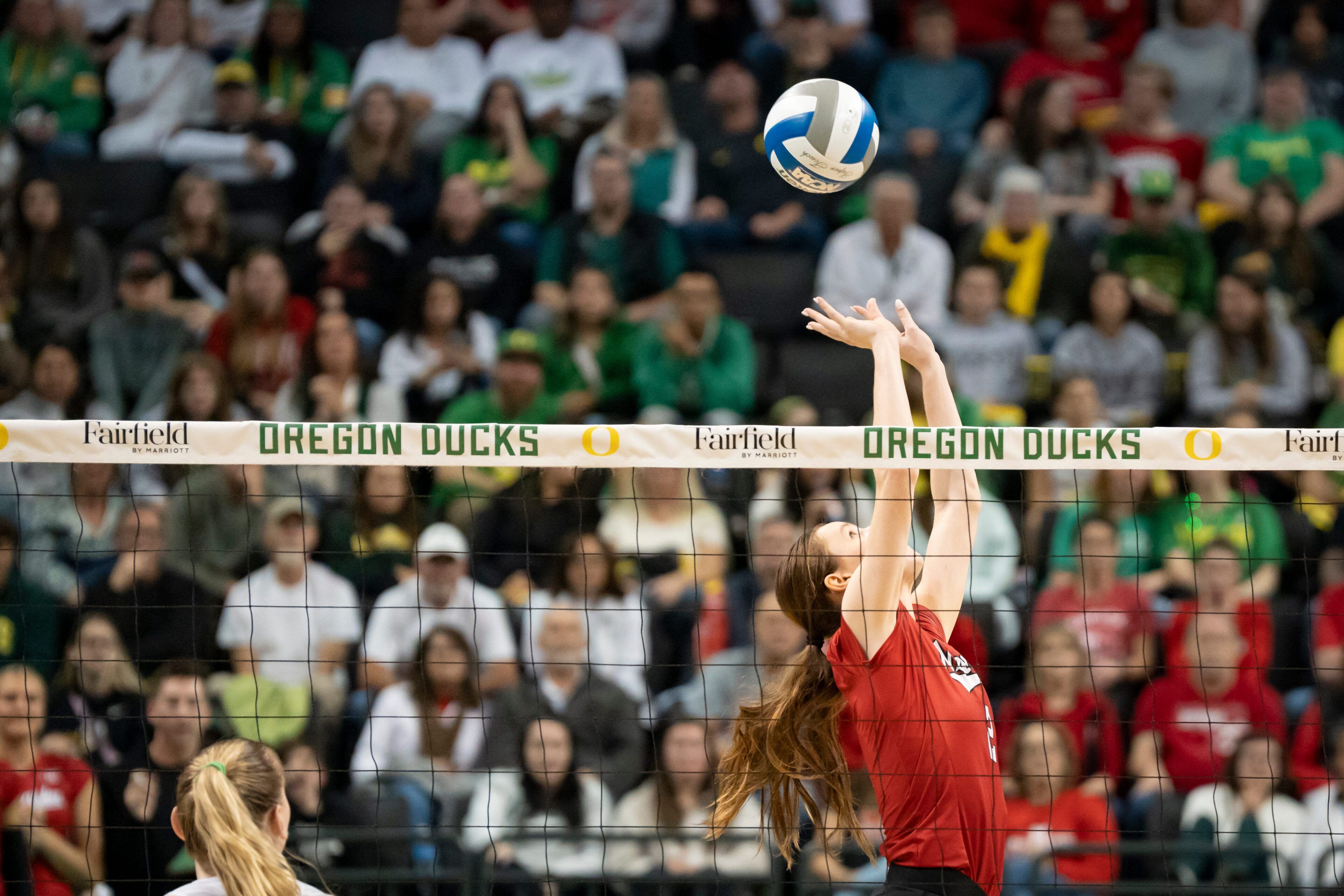 Nebraska Volleyball Star Bergen Reilly Shares Sweet Moment That Leaves