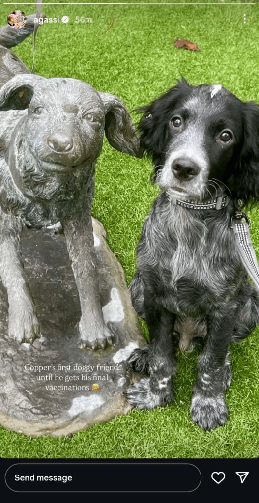 Andre Agassi on Instagram