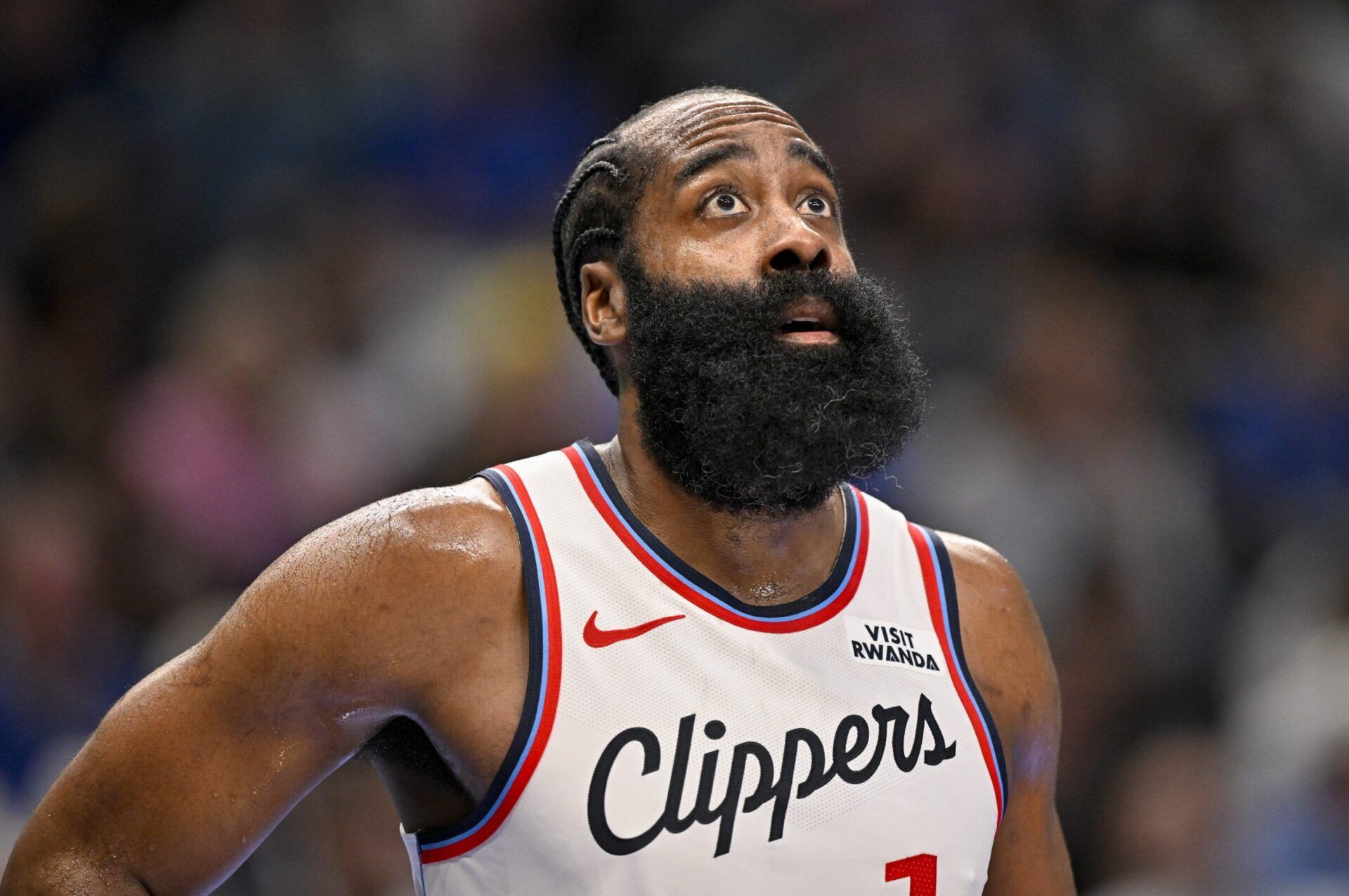 james harden hornets