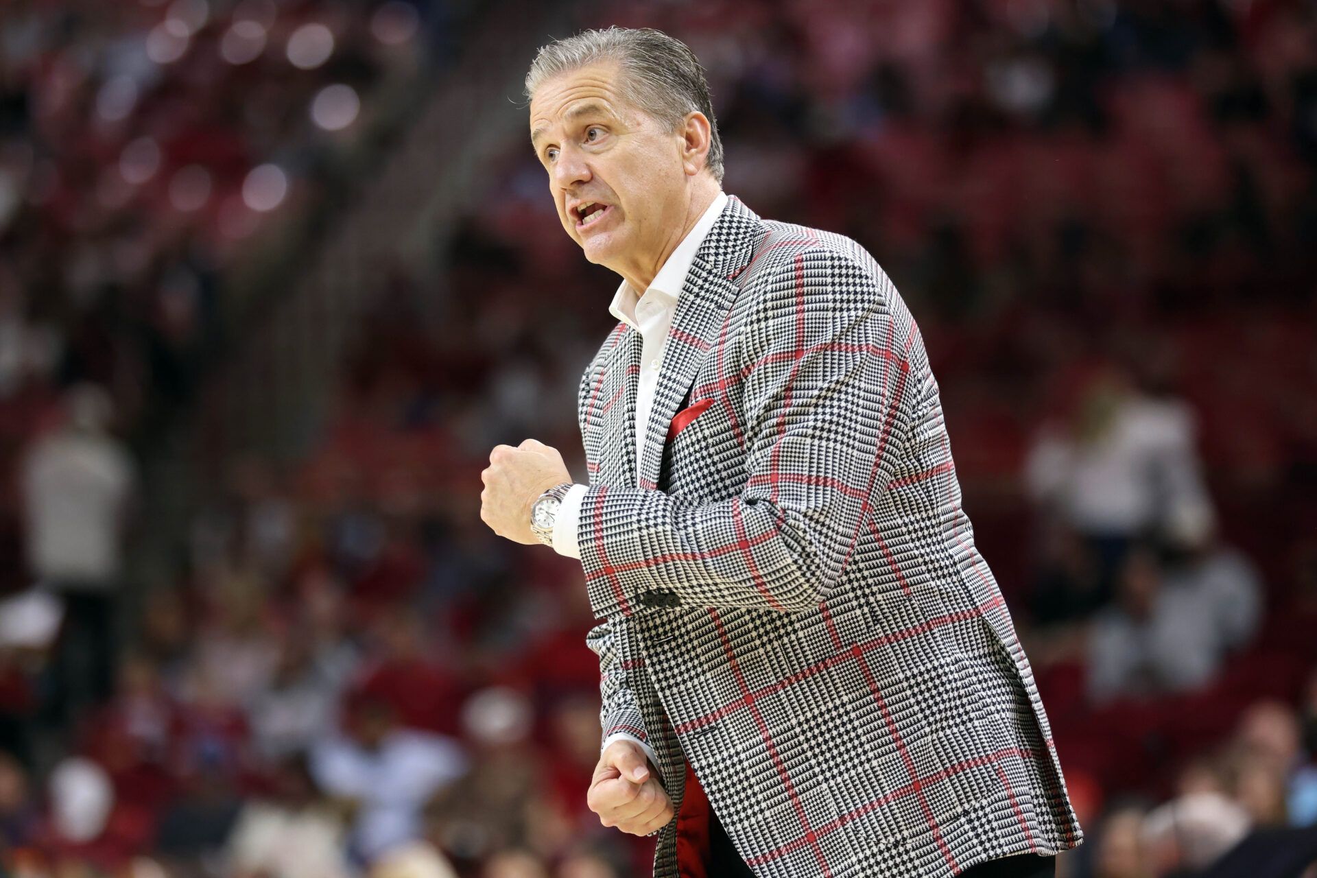 Arkansas Razorbacks head coach John Calipari reacts during the second half against the Jackson State Tigers at Bud Walton Arena. Arkansas won 115-61.