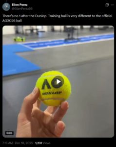 Screengrab of Ellen Perez's tweet