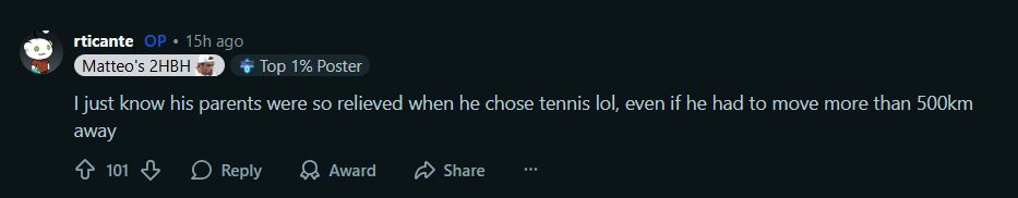 Screengrab of a Reddit comment