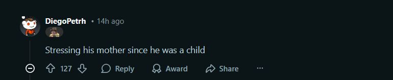 Screengrab of a Reddit comment