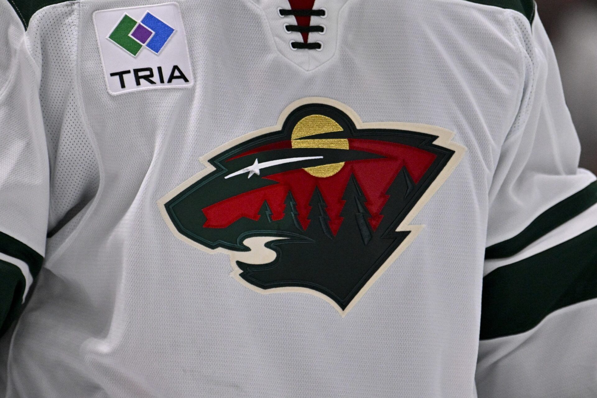A view of the Minnesota Wild logo during the game between the Dallas Stars and the Minnesota Wild at American Airlines Center.