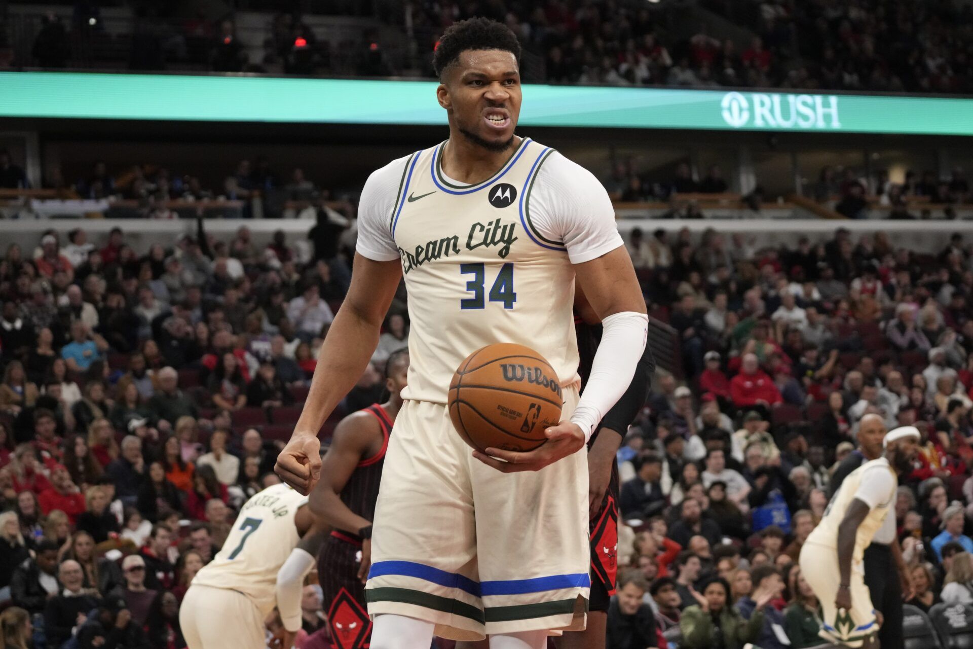 Milwaukee Bucks forward Giannis Antetokounmpo (34) reacts after scoring against the Chicago Bulls during the second half at United Center.