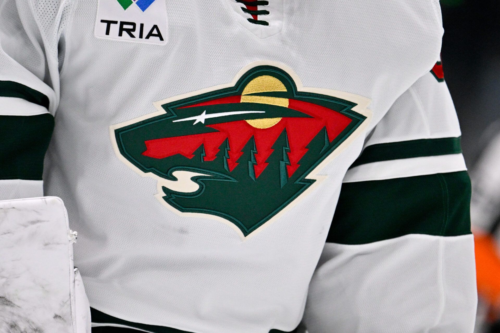 A view of the Minnesota Wild logo during the game between the Dallas Stars and the Minnesota Wild at American Airlines Center.