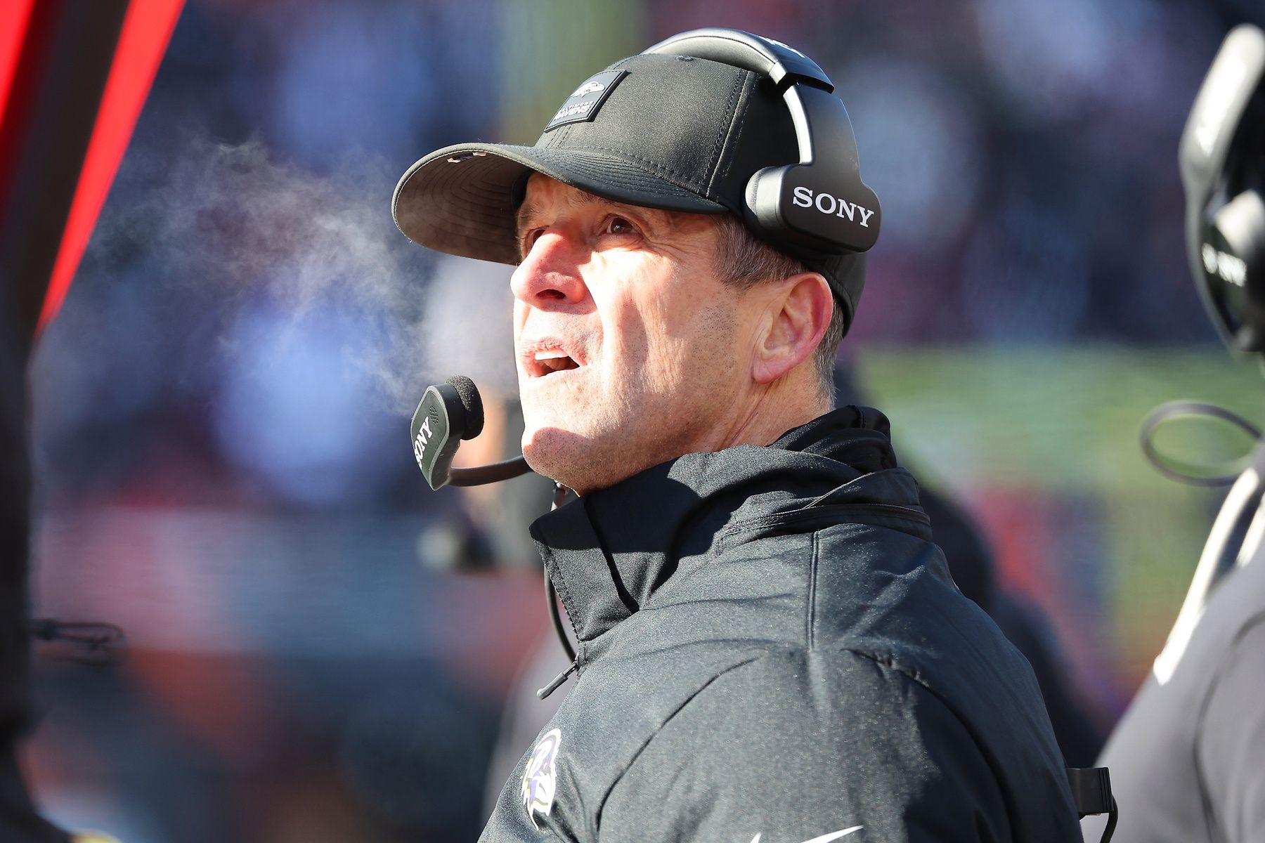 Baltimore Ravens head coach John Harbaugh checks a replay during the second quarter against the Cincinnati Bengals at Paycor Stadium.