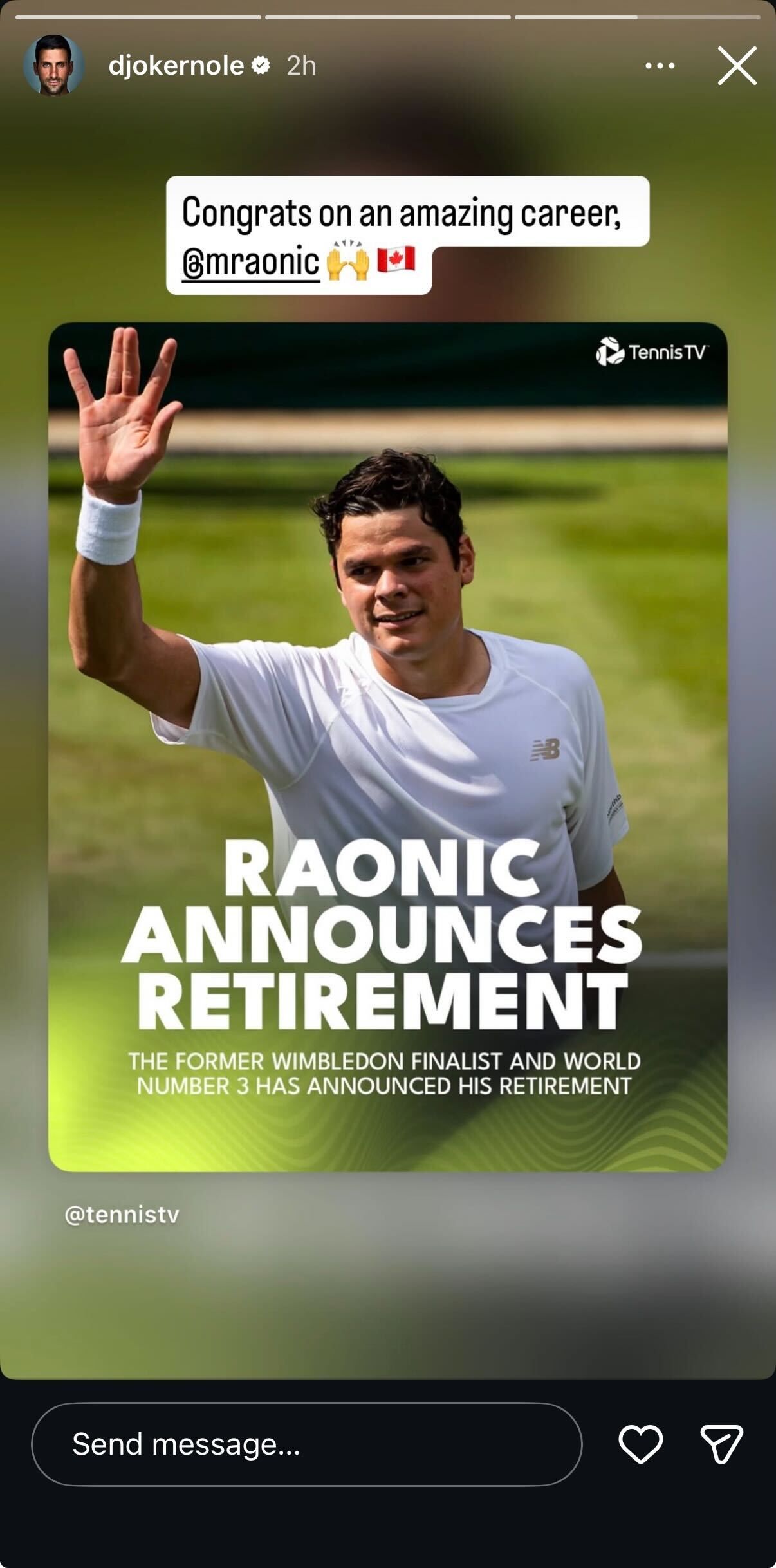 Novak Djokovic's Instagram story