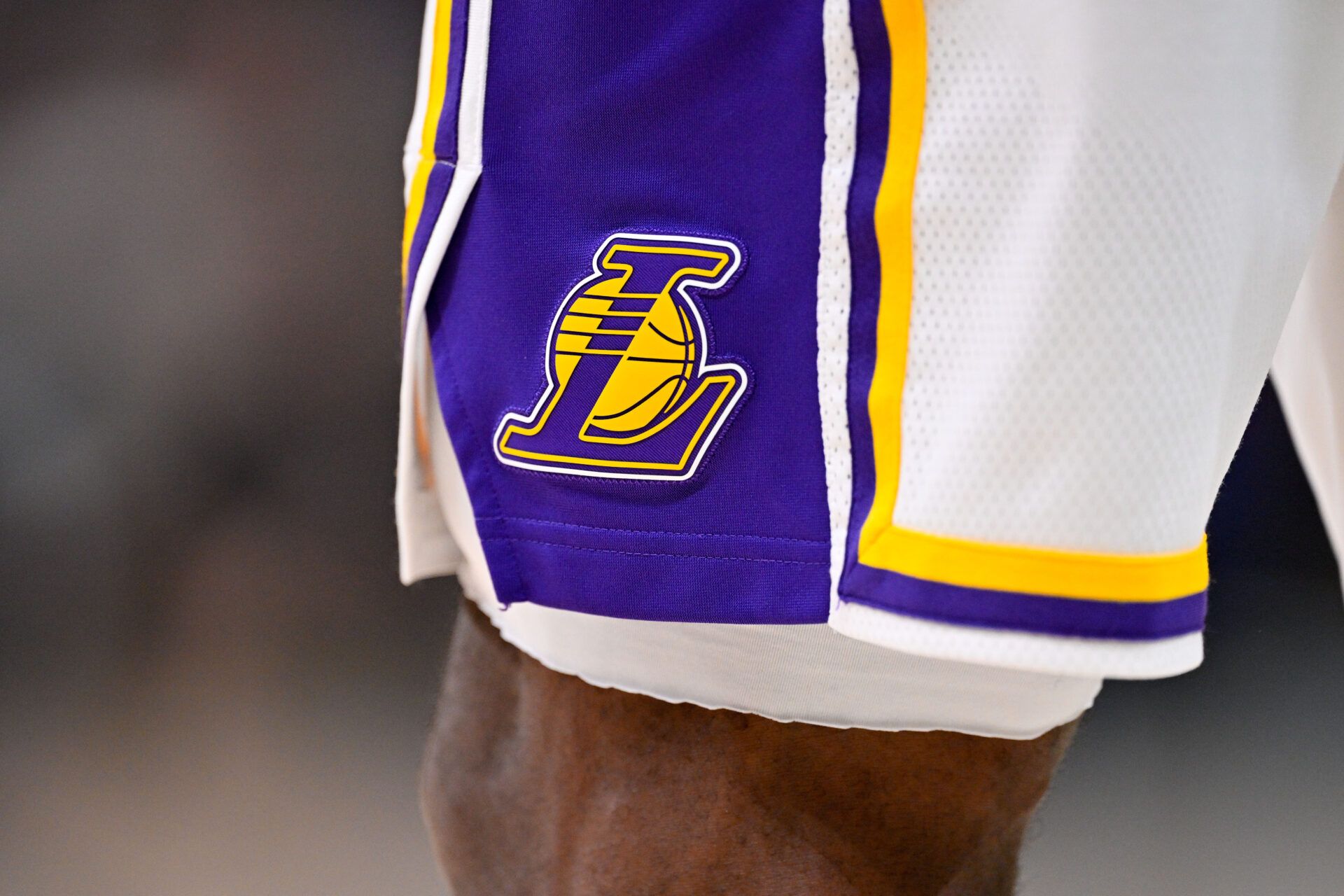 A view of the Los Angeles Lakers logo on the shorts of Los Angeles Lakers forward LeBron James (23) during the game against the Dallas Mavericks at the American Airlines Center.