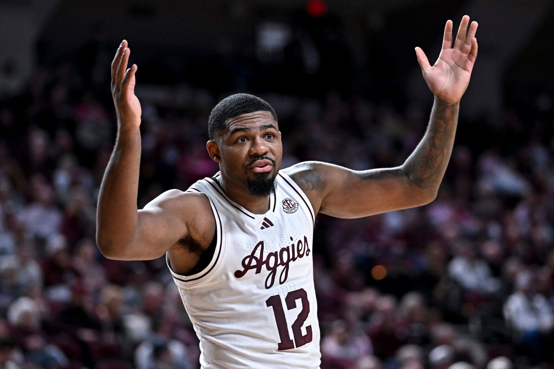Texas A&M Aggies forward Rashaun Agee (12) reacts during the first half against the South Carolina Gamecocks at Reed Arena.