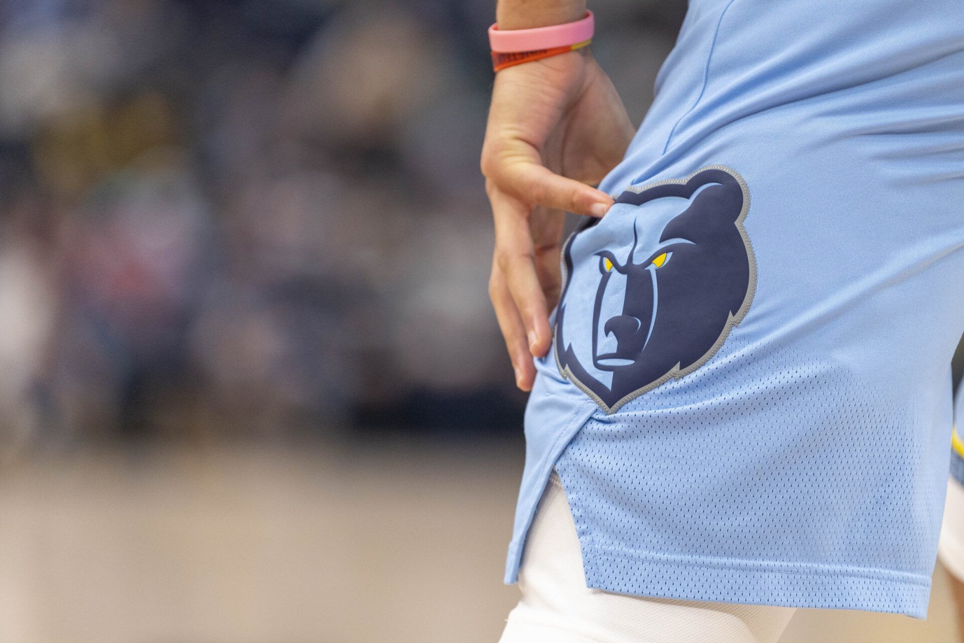 A view of the Memphis Grizzlies logo during the game between the Los Angeles Lakers and the Memphis Grizzlies at the FedExForum.