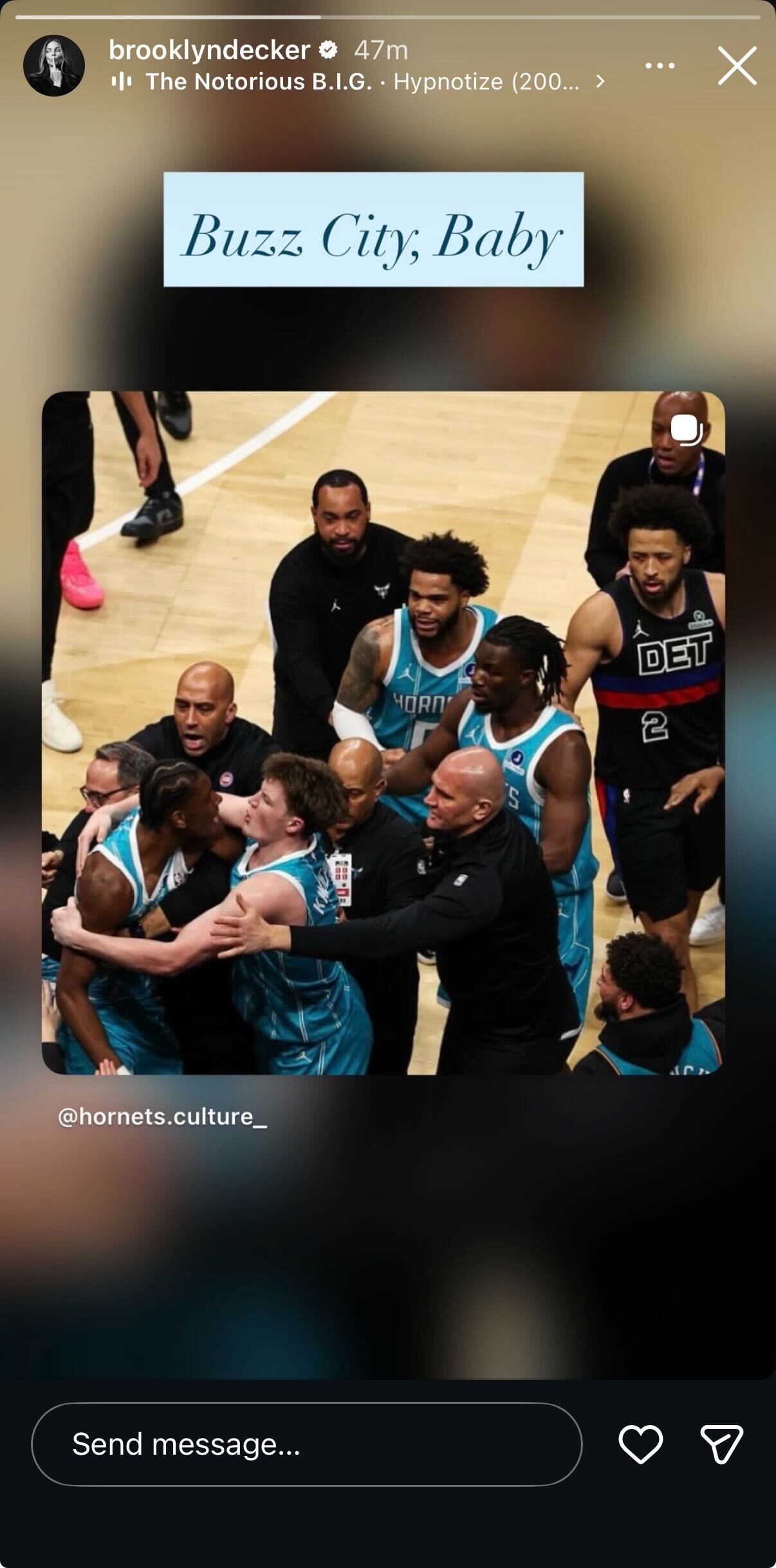 Screen grab of Andy Roddick’s Wife Brooklyn Decker's Instagram Story