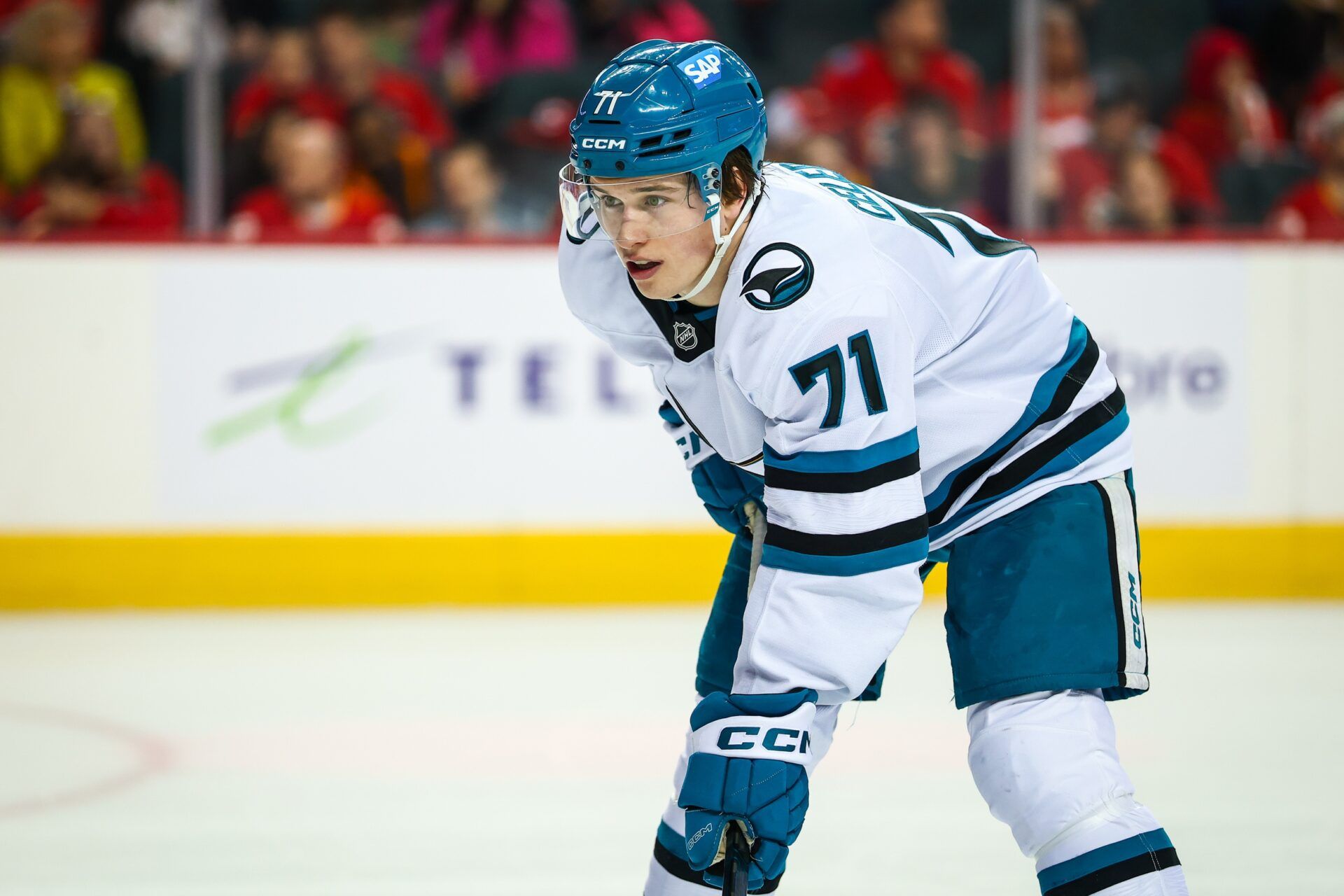 San Jose Sharks center MacKlin Celebrini (71) during the face off against the Calgary Flames during the third period at Scotiabank Saddledome.
