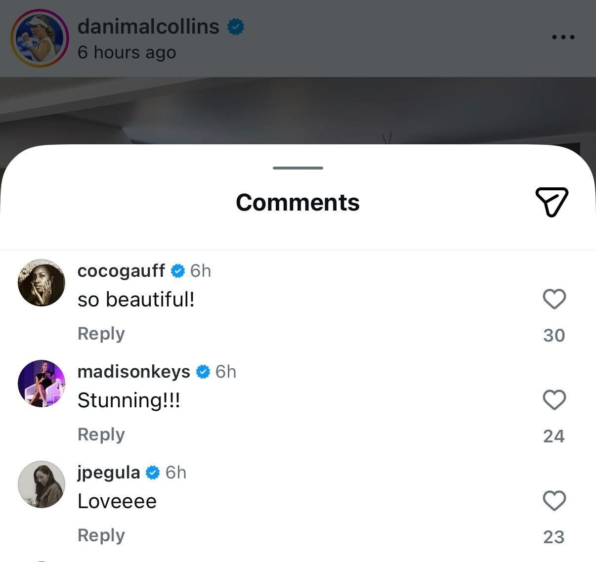 Screen grab of players' comments under Danielle Collins' Instagram post