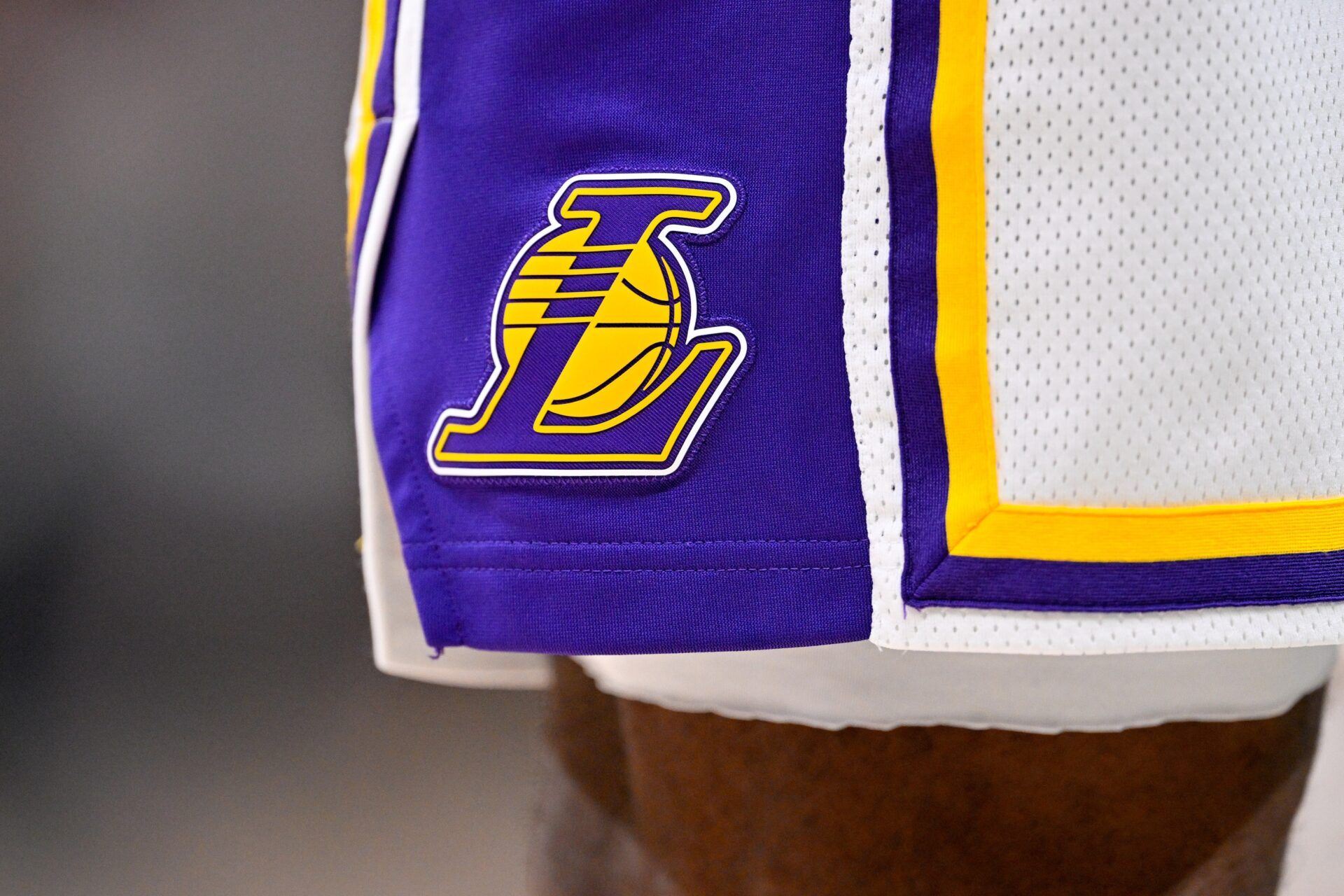 A view of the Los Angeles Lakers logo on the shorts of Los Angeles Lakers forward LeBron James (23) during the game against the Dallas Mavericks at the American Airlines Center.