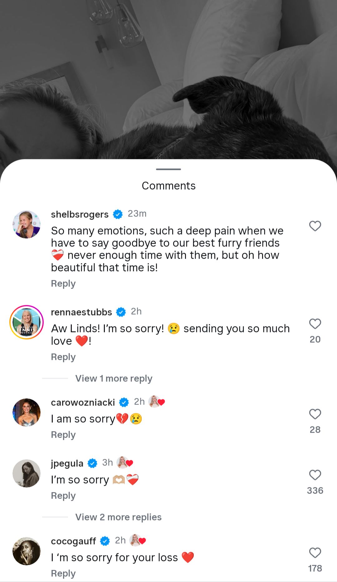 Tennis players' comments under Lindsey Vonn's post