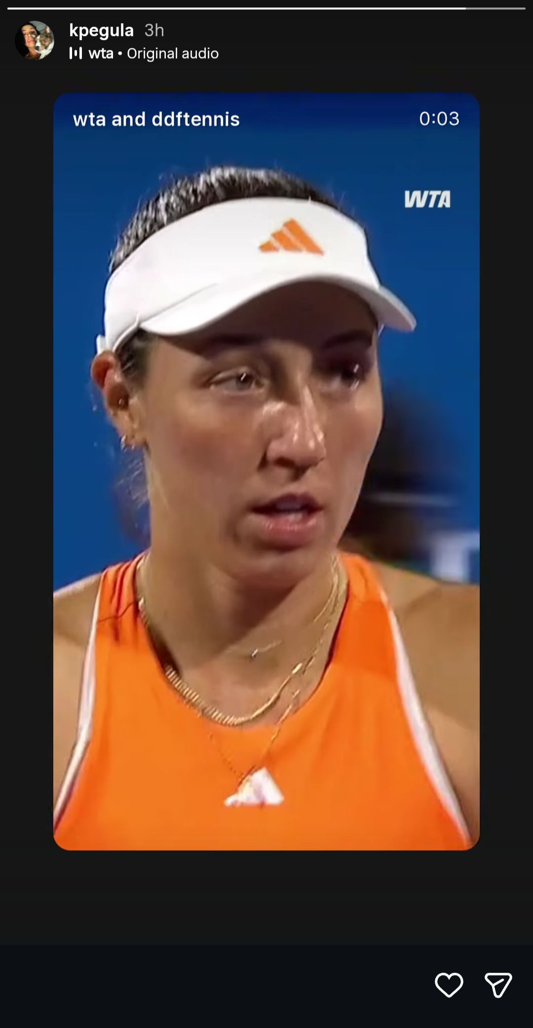 Kelly Pegula's Instagram story