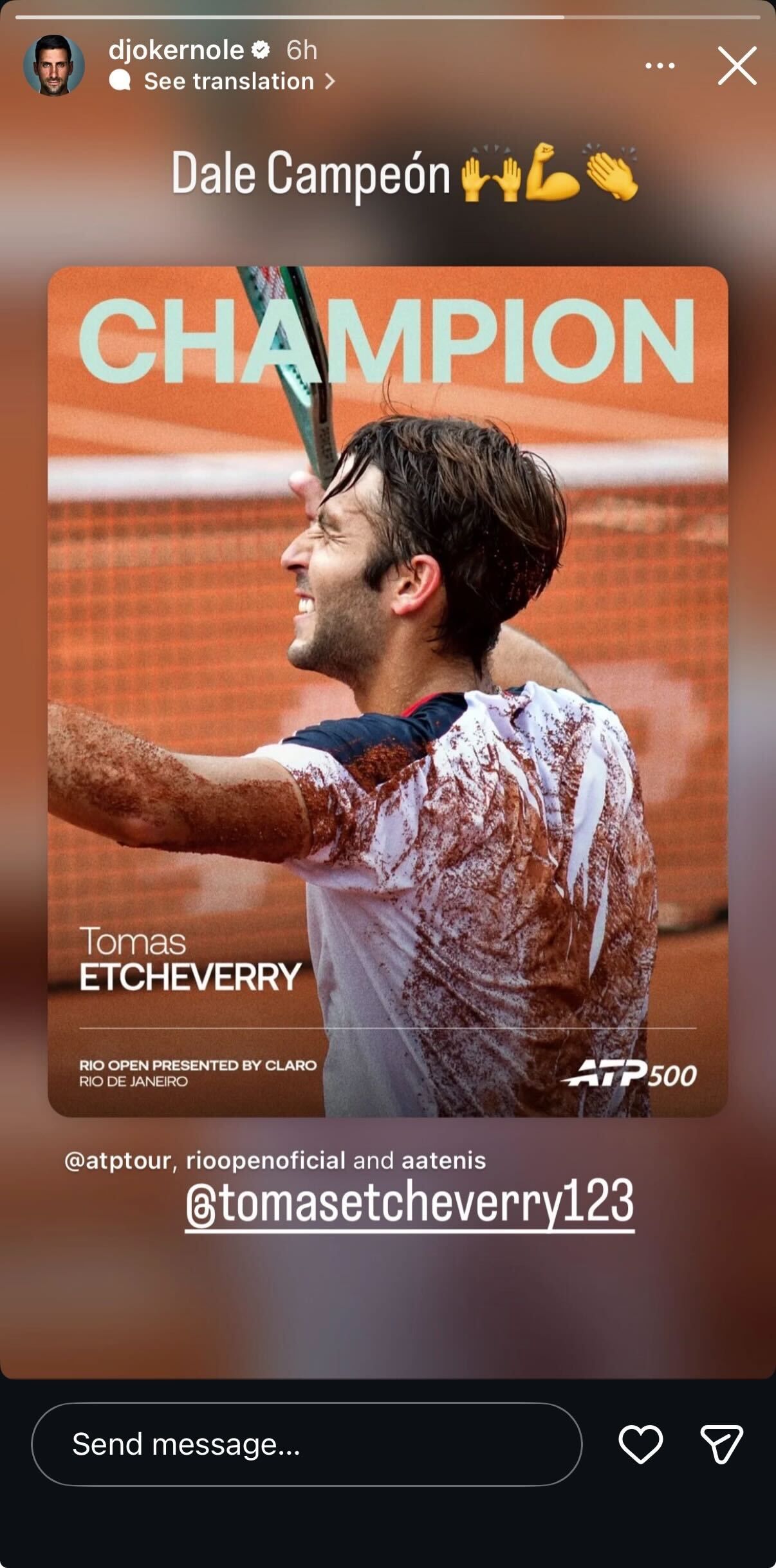 Screen grab of Novak Djokovic's Instagram story