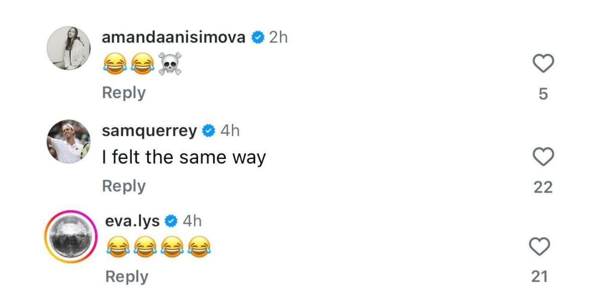Screen grab of Amanda Anisimova and Eva Lys' comments