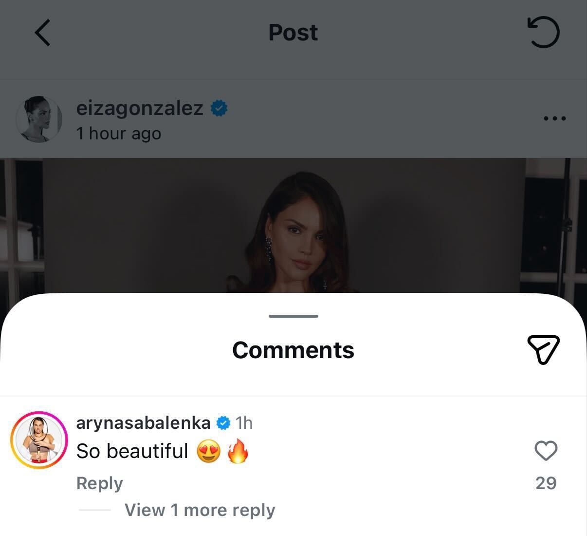 Screen grab of Aryna Sabalenka's comment