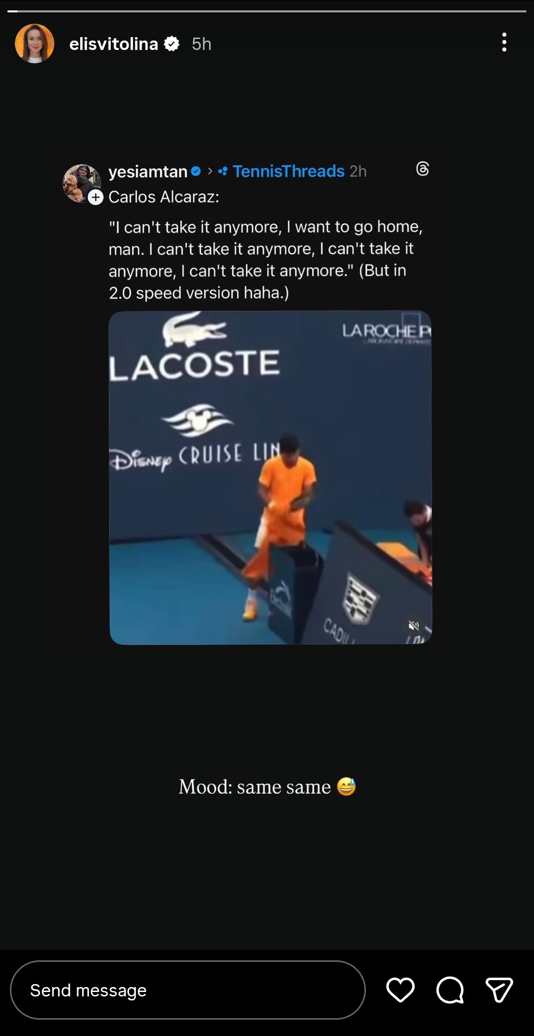 Elina Svitolina's Instagram story