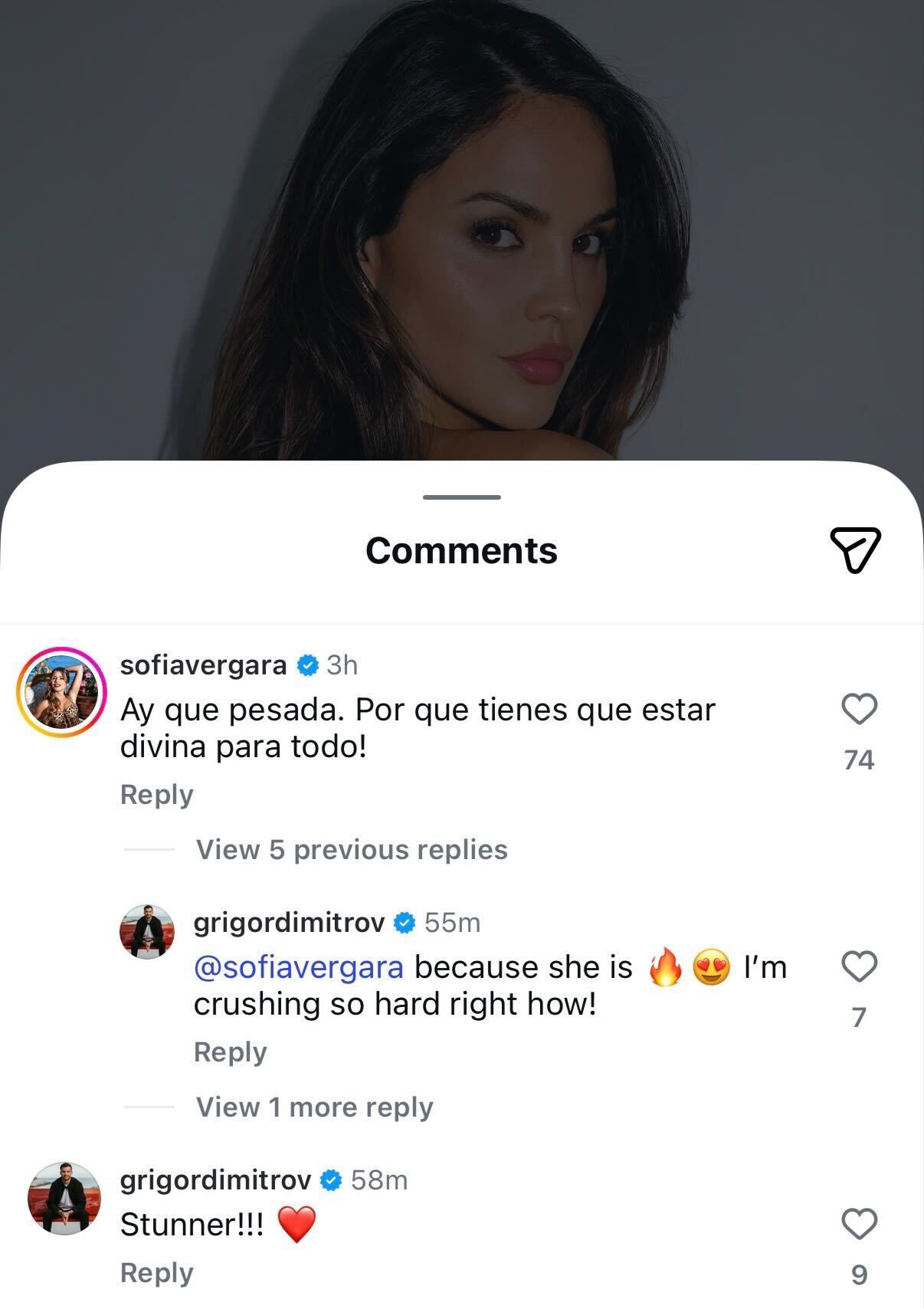 Screen grab of Grigor Dimitrov and Sofía Vergara's comment